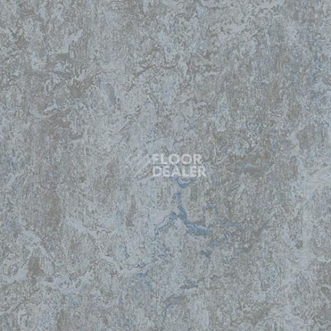 Линолеум Forbo Marmoleum Decibel on Order 305335 dove blue фото 1 | FLOORDEALER